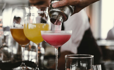 Probiotics and Alcohol: The Clear, Honest Guide to Mixing Both