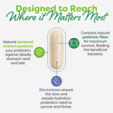 Close-up of a capsule explaining how the natural seaweed-extract layer and electrolytes protect the good bacteria from stomach acid.