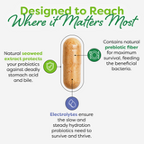 Close-up of a Probulin capsule showing the seaweed extract layer that protects probiotics for gas from stomach acid.