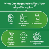 Green background infographic detailing how lifestyle factors like diet and environment can impact a child's microbiome, highlighting the need for a kids probiotic.