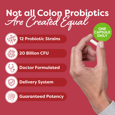 Colon Support Colon Support Probiotic | Restore Your Colon’s Microbiome | Probulin