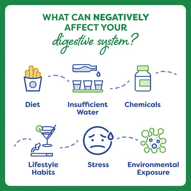 TrimSynergy® Probiotic Capsules - 60 Count Probulin