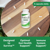 Original Formula Probiotic Capsules - 45 Count Probulin