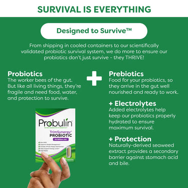 TrimSynergy® Probiotic Capsules - 60 Count Probulin